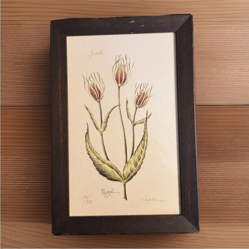 Lyndi Lende “Teasel” Botanical print Numbered 102/995 Signed Original